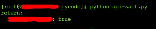 python-salt-api